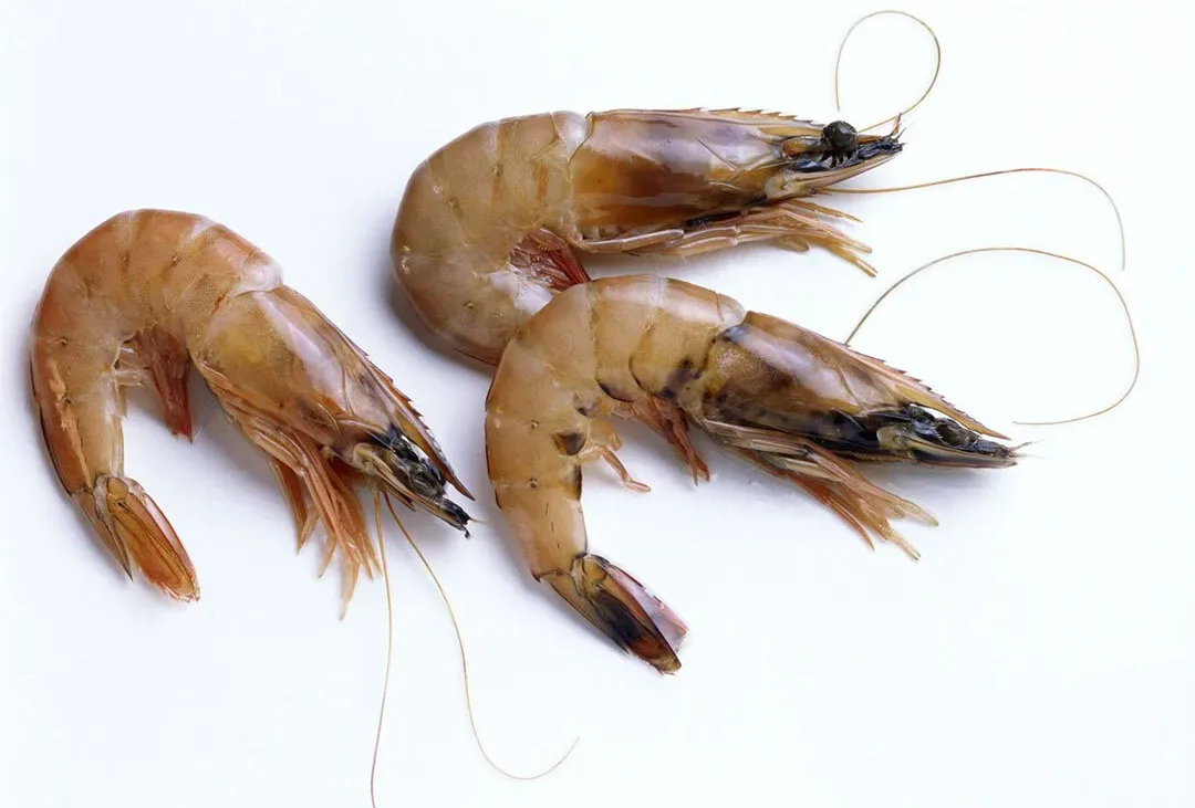 India has become the world's leading prawn farming nation.